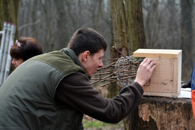 Madárodú készítés