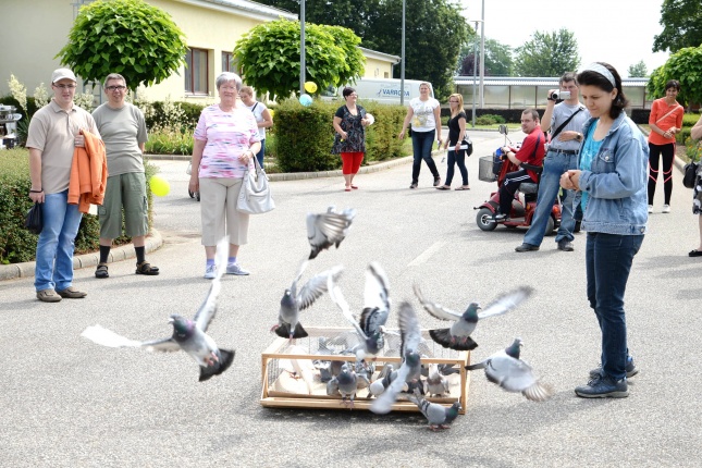 Családi nap az Esélycetrumban