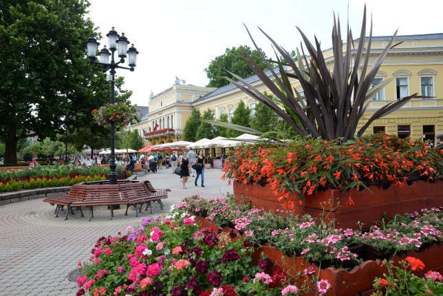 Nyíregyháza virágos belvárosa