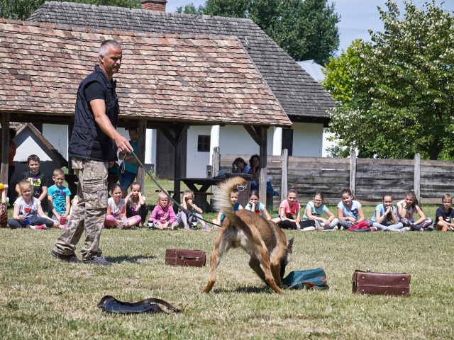 Kábítószer-ellenes világnap - fotó Szarka Lajos