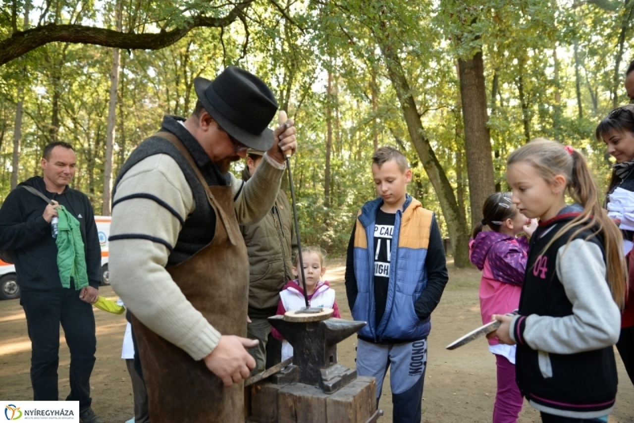 NYÍRERDŐ Nap, a Sóstói-erdőben