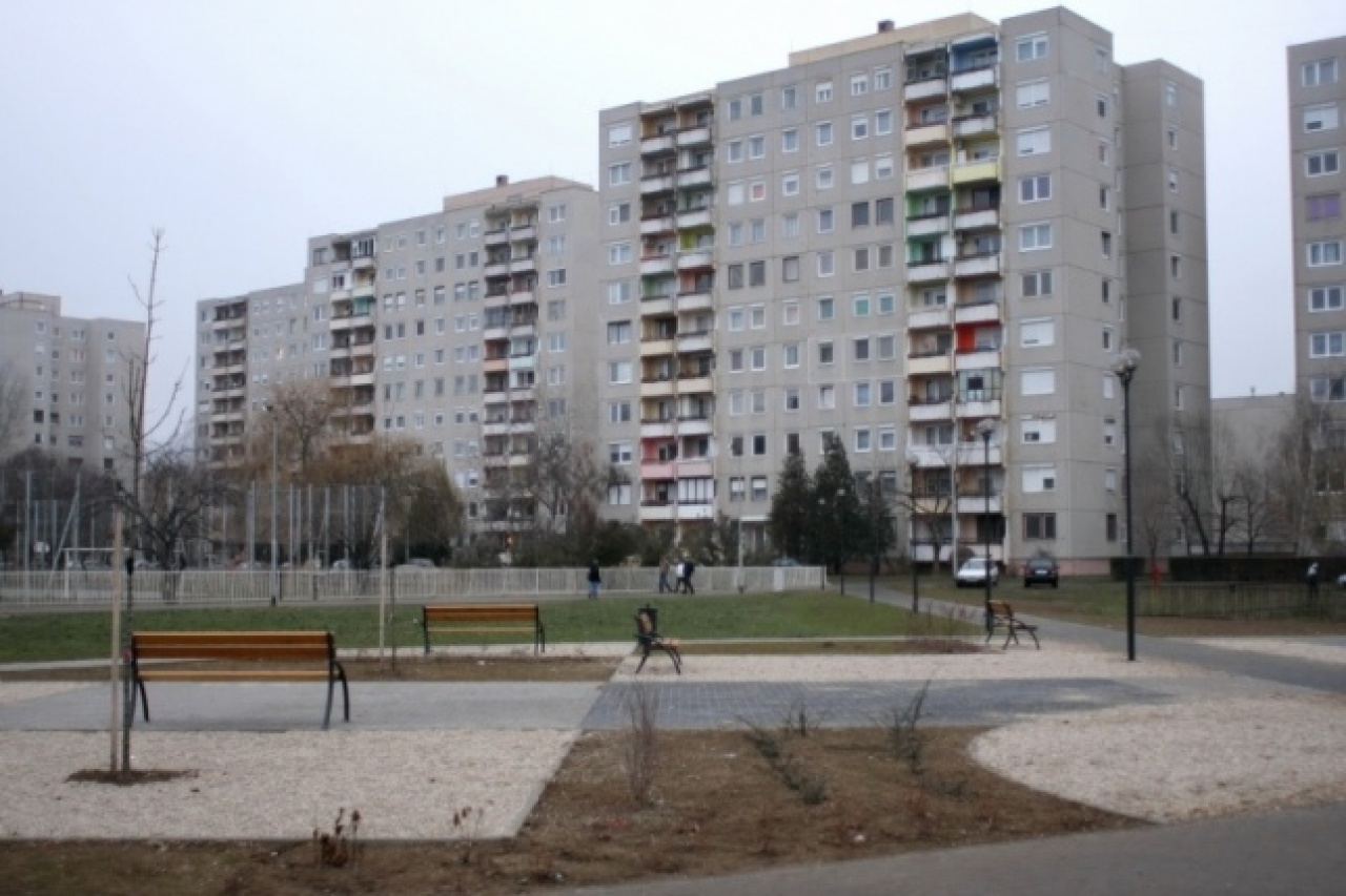 Tagtoborzással egybekötött családi nap Örökösföldön