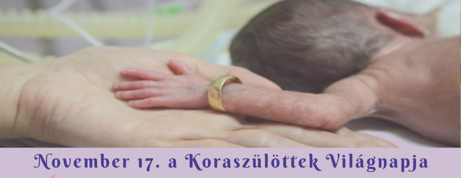 Lógjunk anyuval! - jótékonysági akcióval egybekötött családi nap