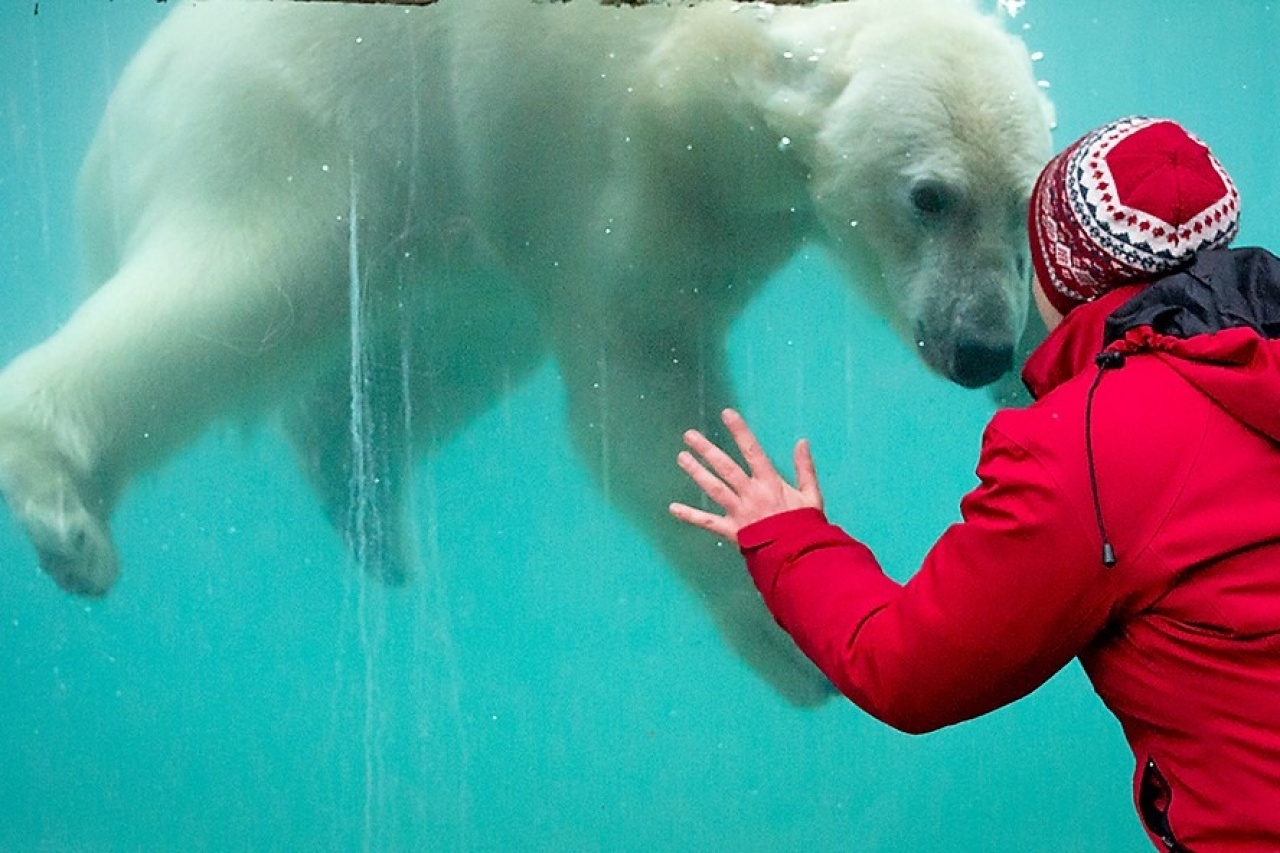 Nyerő képeket vár a Nyíregyházi Állatpark közösségi oldalára – Önnek mi volt emlékezetes?