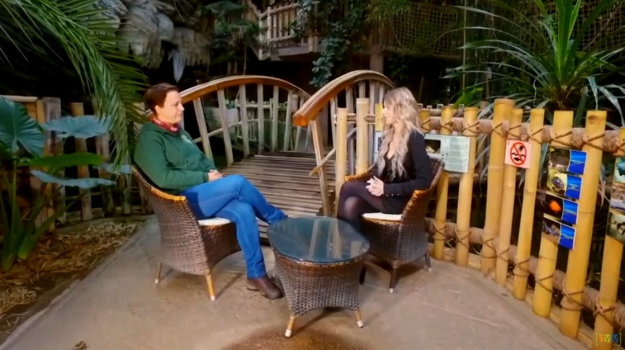 Állati hírek a Sziesztában - a tavalyi év állatbébijei és a téli park szépségei