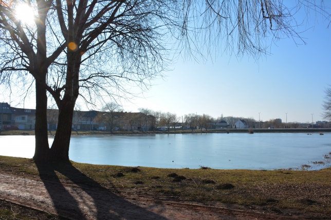 Füvesítési előkészületek a Bujtoson