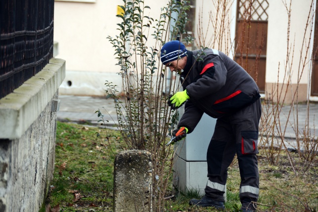Metszés a Luther téren