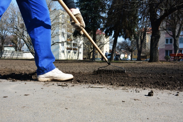 Füvesítés Nyíregyházán