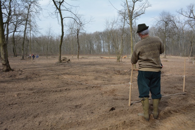 4000 facsemetét ültetnek Nyíregyházán
