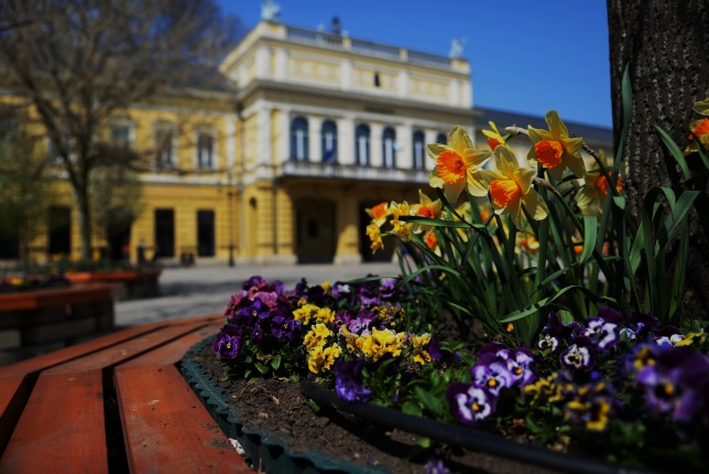 Tavaszi zsongás a belvárosban