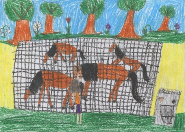 Rajzpályázat - 3. galéria