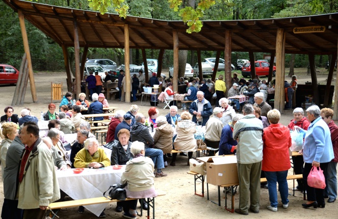 Nyugdíjas találkozó az Erdei Tornapályán
