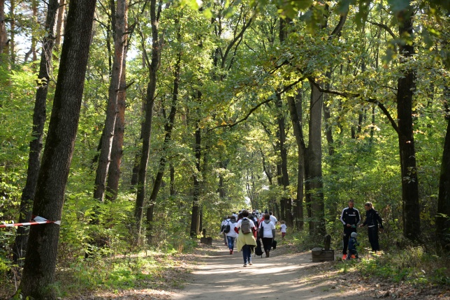 Nyírerdő nap a tornapályán