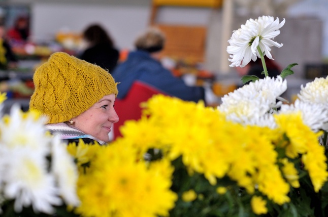 Készülődés a Mindenszentekre