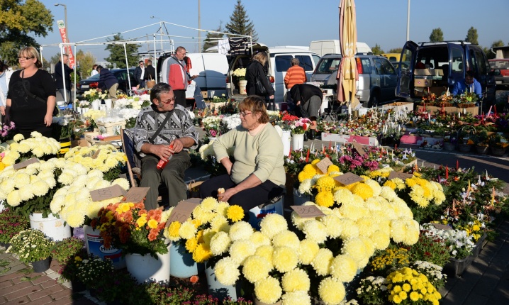 Napsütés és virágözön a piacon