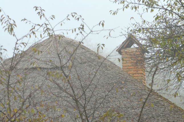 Nád a házam teteje