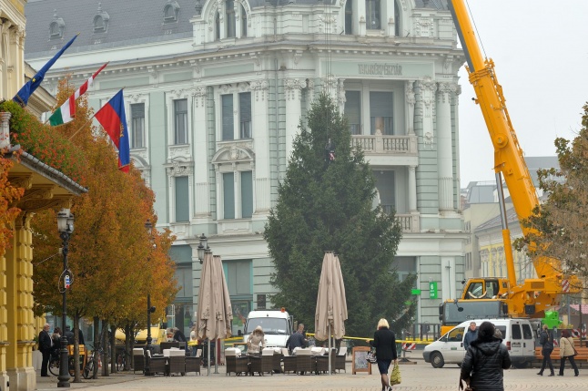 Kossuth térre érkezett a karácsonyfa