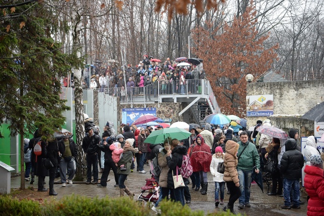 100 forintos nap az Állatparkban