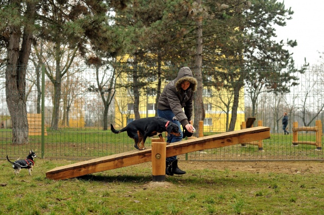 Átadták a kutyafuttatót a Jósavárosban
