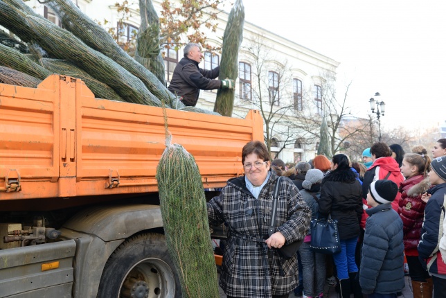 Ajándék fenyőfa a Rotary Club adományaként