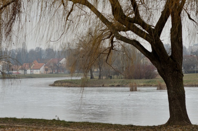 Hó előtti csend a Bujtoson
