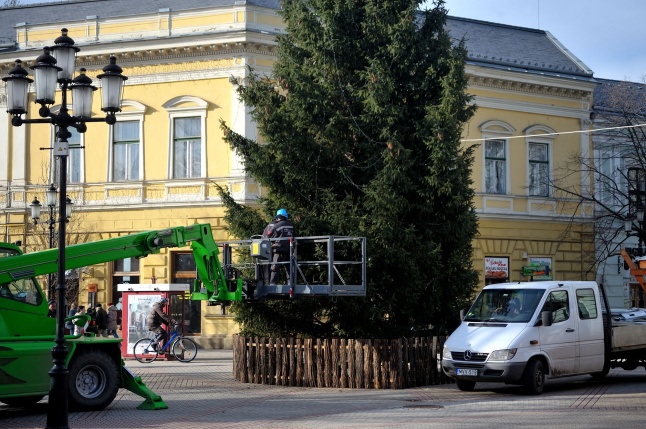 Búcsúzik a karácsonyfa