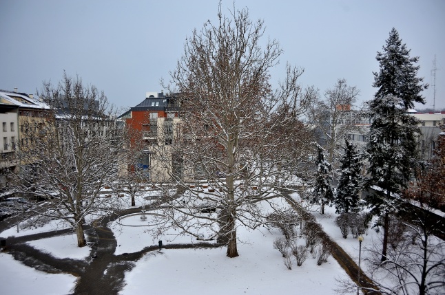 Belvárosi csendélet télen