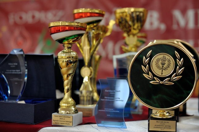 Megyei Fogyatékos Sportolók Gálája