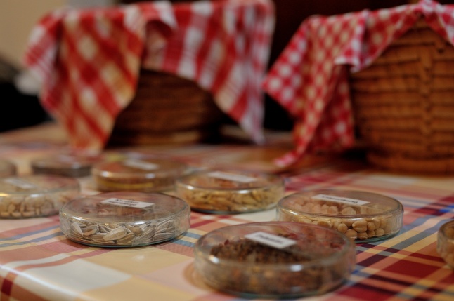 Magbörze a Múzeumfaluban