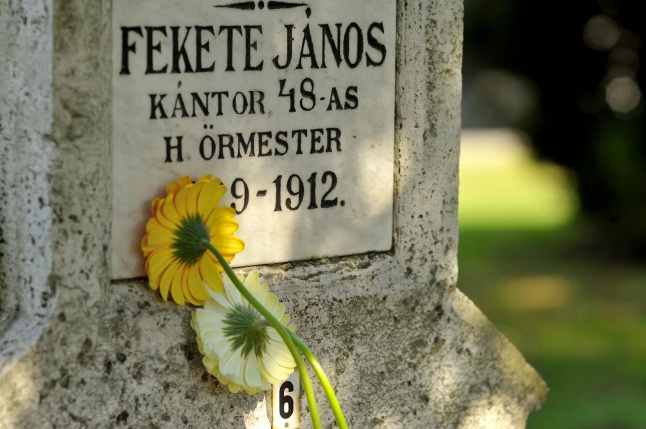 Virágok a hősök sírján