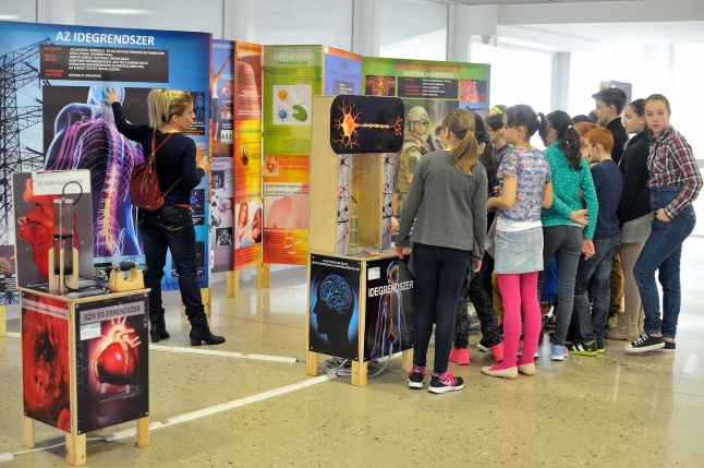 Testünk a csoda kiállítás