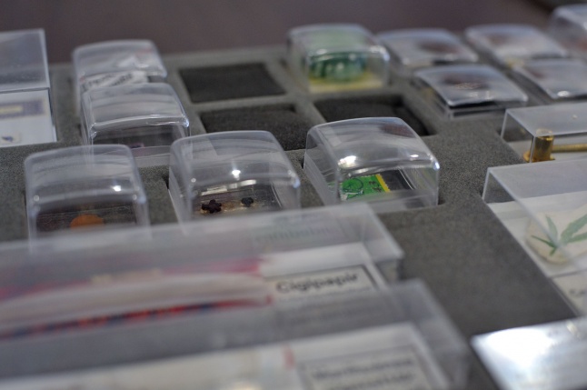 Szertelen Nap drogprevenciós rendezvény