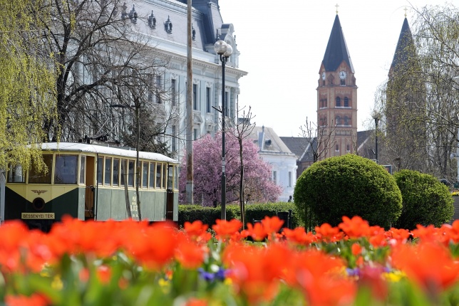 Vasárnapi virágos belváros