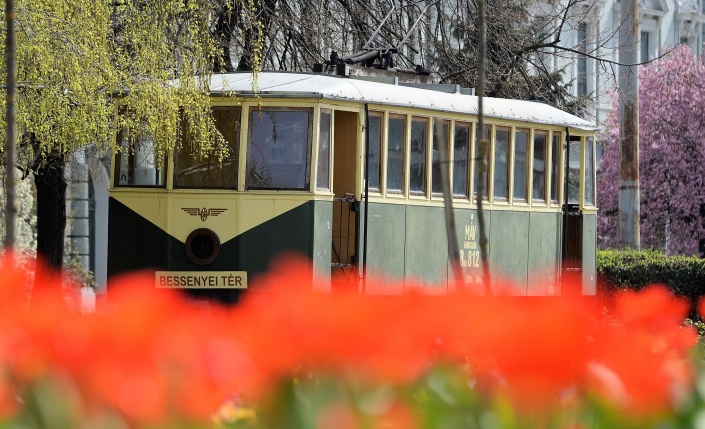 Nyíregyháza virágos belvárosa