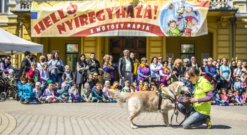 NEO Magyar Segítőkutya Egyesület bemutatója