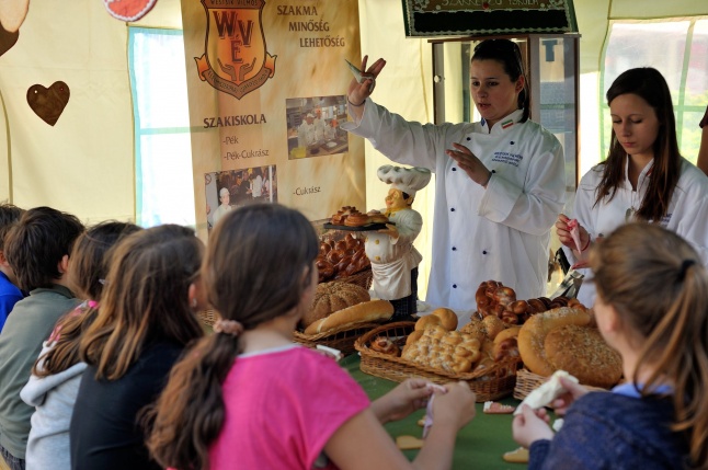 Helló Nyíregyháza Szakmák utcája