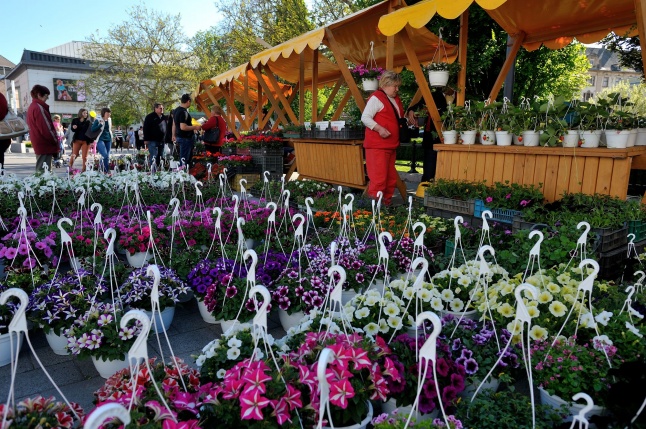 Helló Nyíregyháza Tavasz utca
