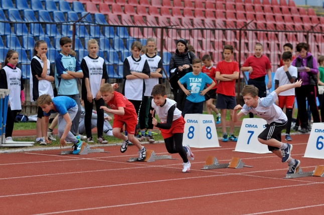 Diáksport támogatás