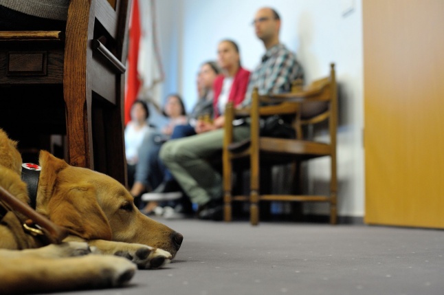 Érzékenyítő tréning a Városházán