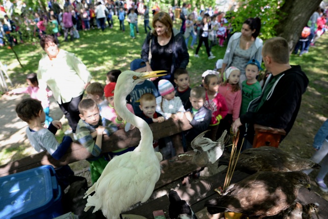 Madarak és fák napja a Botanikus kertben