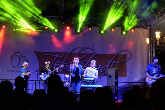 A Balkan Fanatik volt az esti fellépő pénteken a Városnapon