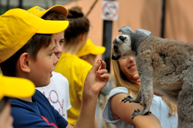 Zoosuli az Állatparkban
