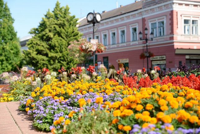Nyári virágos belváros