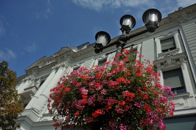 Belváros, nyár, virágok