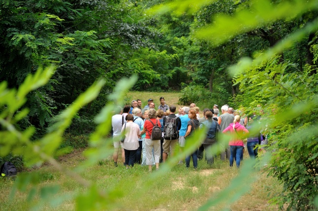 Értékes Esték - Séta a Sóstói erdőben