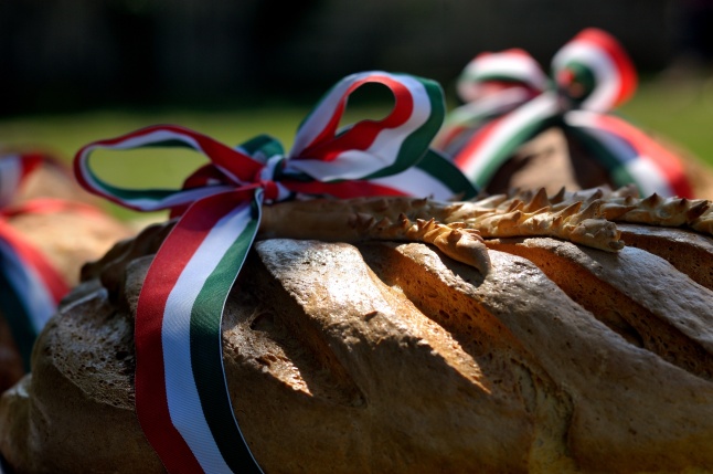 Új kenyér ünnepe a múzeumfaluban