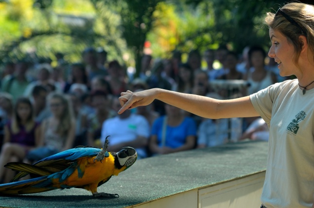 Állatparki programok augusztus 20-án