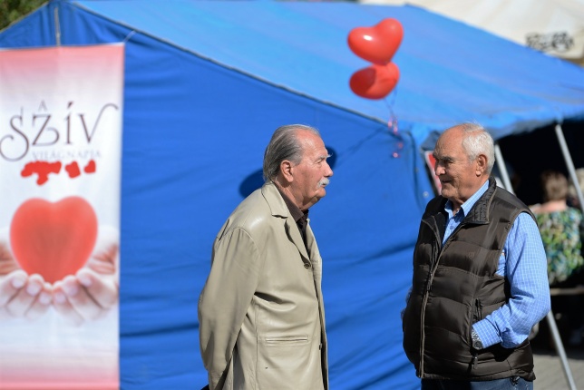 Szív Világnapja a Kossuth téren