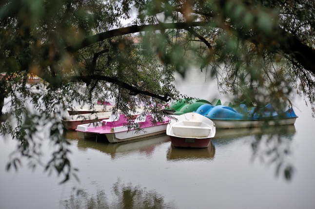 Egy esős őszi délután Sóstón - fotó Szarka Lajos