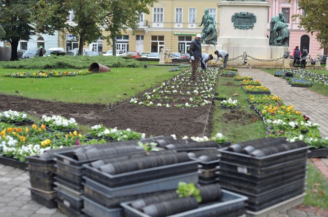 Park gondozás a Hősök terén - fotó Szarka Lajos